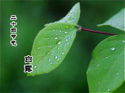 白露节气应当如何饮食穿衣