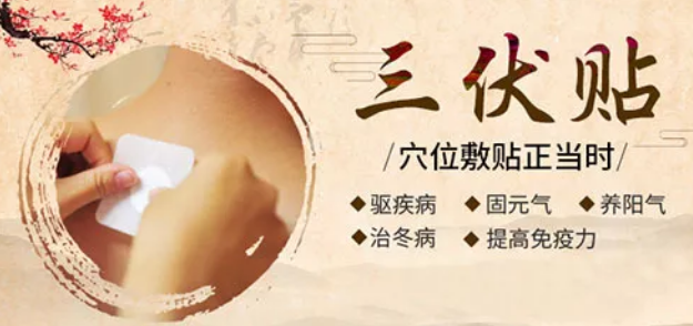 为什么说三伏贴可以“冬病夏治”？